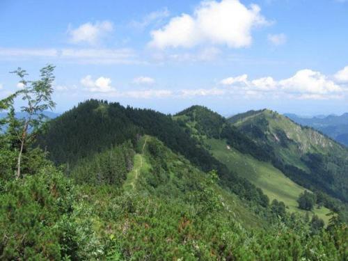 Landgasthof Kirchenwirt Grossraming Esterno foto