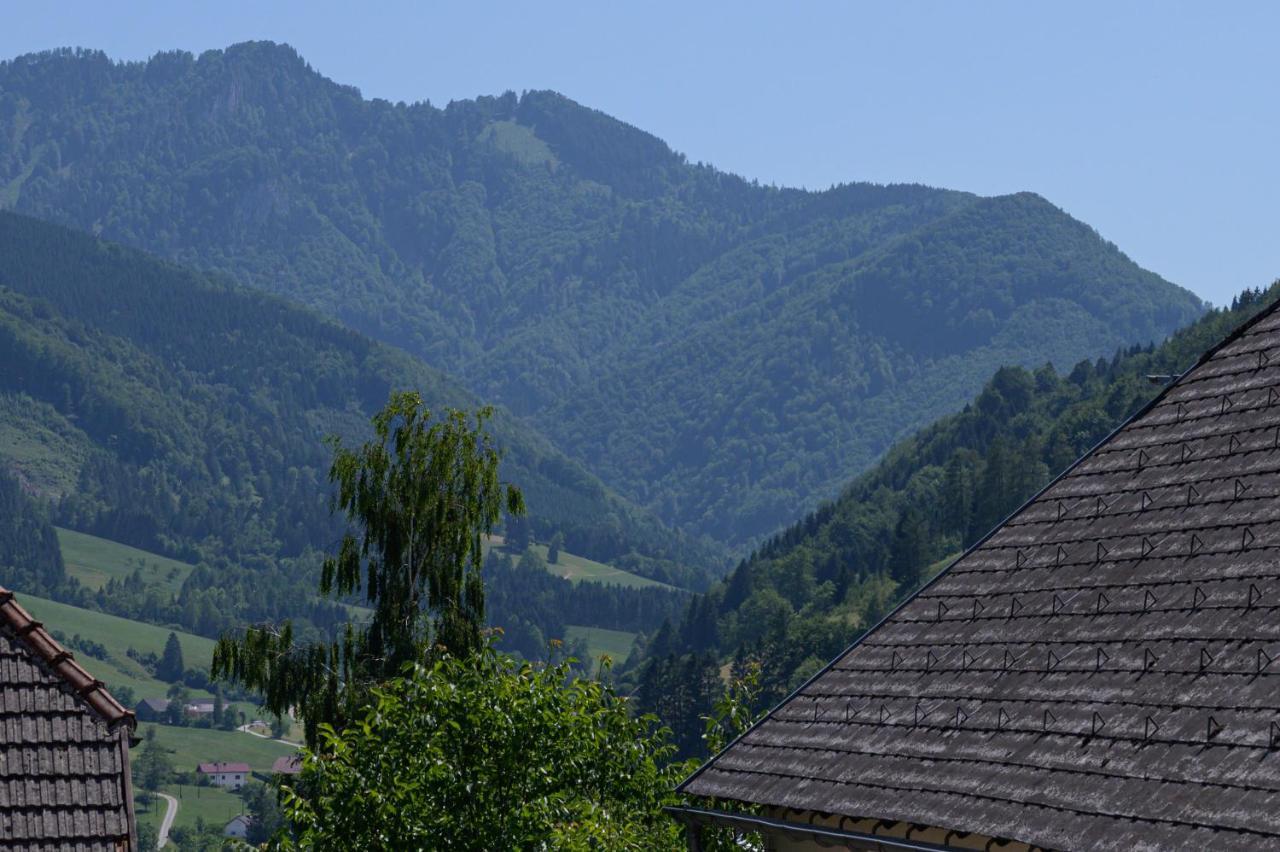 Landgasthof Kirchenwirt Grossraming Esterno foto